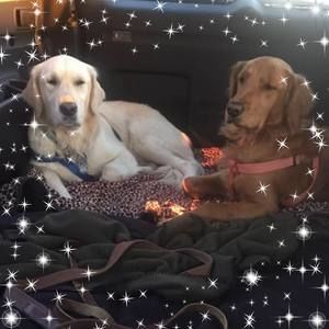 Meet your Posher, Carol